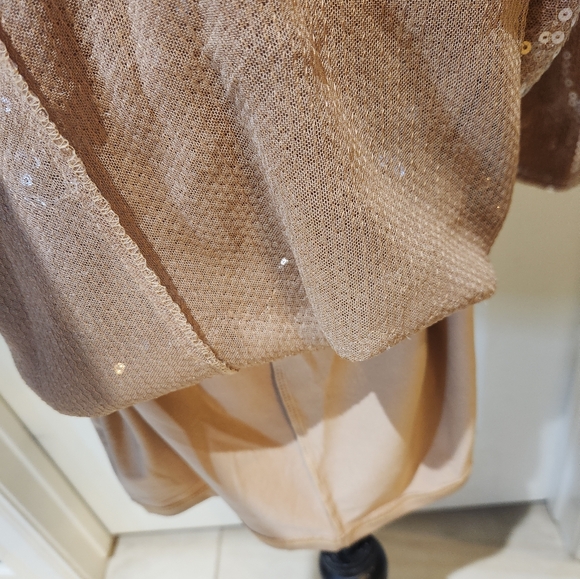 Deep V Long Sleeve Sequins  Dress With Drawstrings - Picture 8 of 12